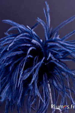 Plumet autruche avec anneau - ht 18-20 cm - bleu nuit
